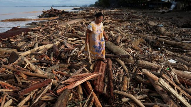 hutan gundul di Sumatra